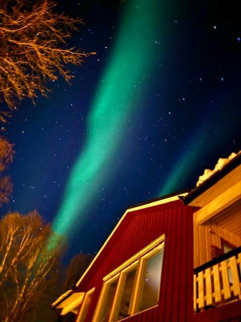 Bed And Breakfast Nordic Horn Brostadbotn Eksteriør billede